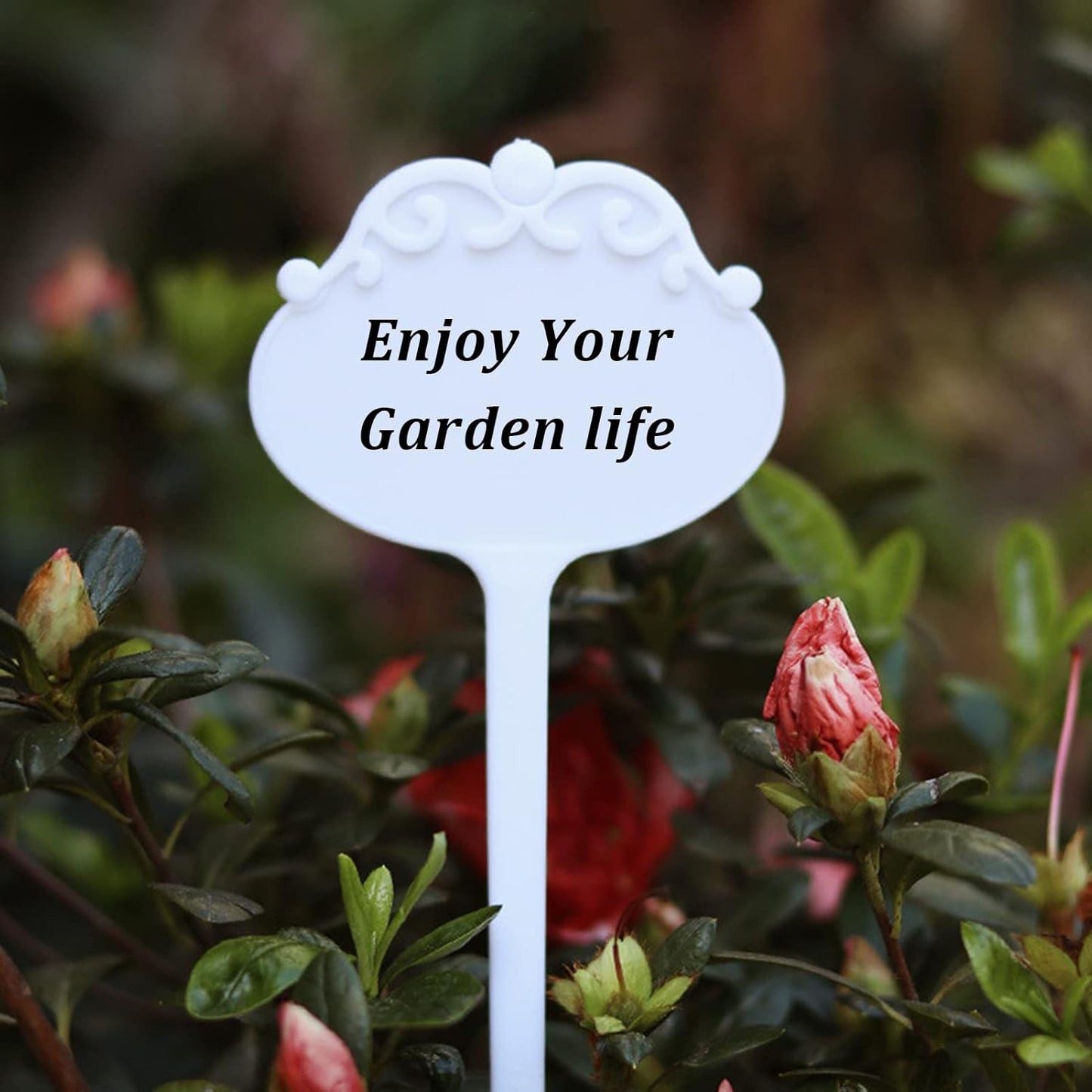 Biodegradable Peat Pots for seedlings, 100 Pack Plant Seed Starter Pots Kit, 2.36inch Succulent Planter Nursery Pots with 10 Plant Markers, Garden Germination Kits