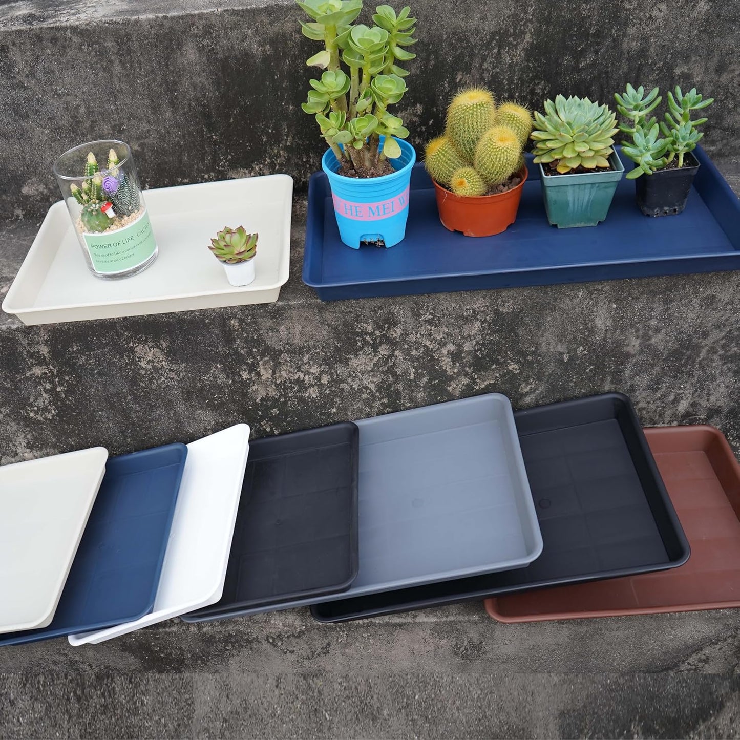 Plant Saucer Growing Trays, Seed Starter Tray, 14"x11", Heavy Sturdy Plastic Microgreens Saucers, Propagation Saucer Rectangular, Humidity Trays, Seedling Seed Starter Growing Tray